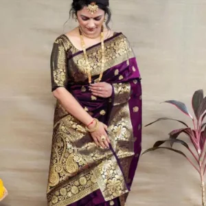 Saree Silk